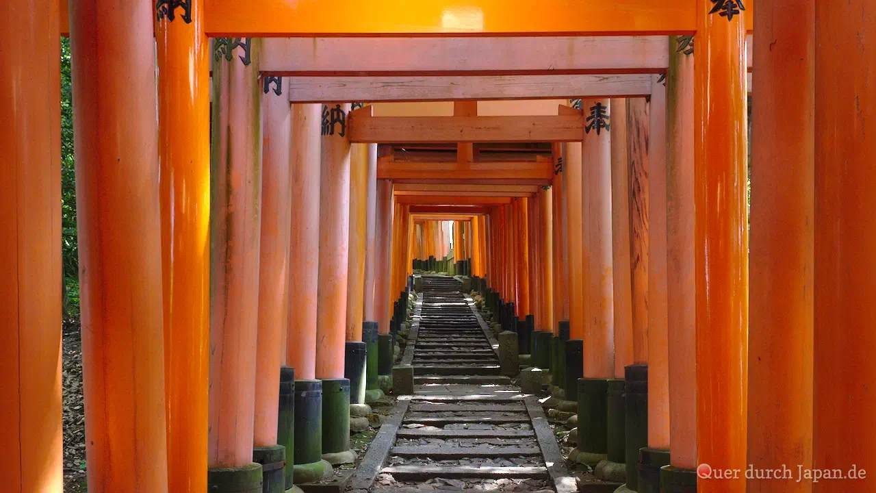 Torii im Fushimi Inari-Taisha, Kyōto