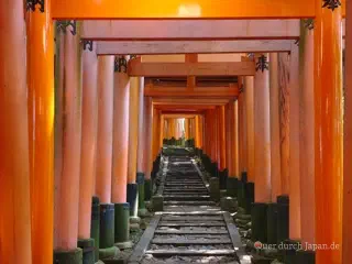 Torii at Fushimi Inari-taisha, Kyoto