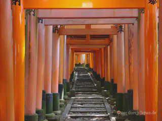 Torii im Fushimi Inari-Taisha, Kyōto