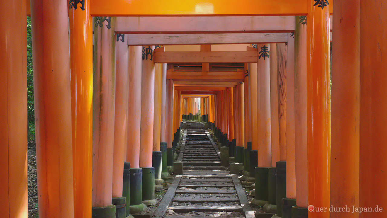 Torii im Fushimi Inari-Taisha, Kyōto